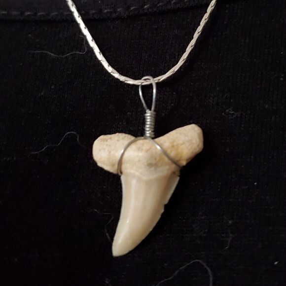 18K White Gold Plated Sharks Tooth Necklace - Picture 4 of 5